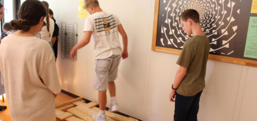Schüler auf der Miniphänomena in Freiburg