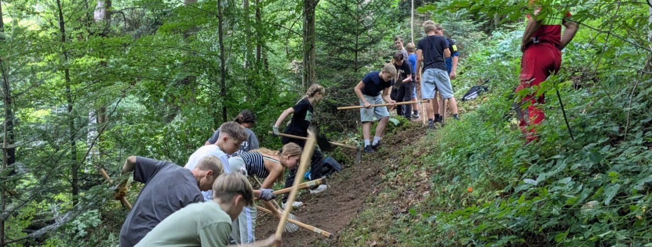 Kinder beim Arbeiten im Wald