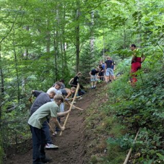 Kinder beim Arbeiten im Wald