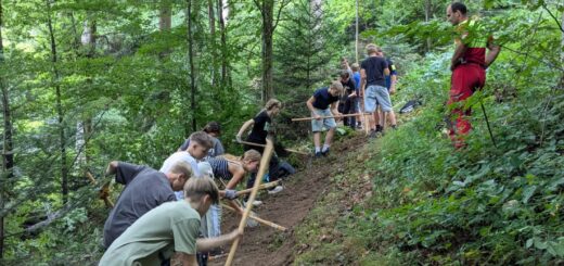 Kinder beim Arbeiten im Wald